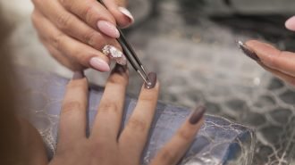 nail-stylist-decorating-customer-s-fingernails-2024-10-17-19-03-38-utc nail-stylist-decorating-customer-s-fingernails-2024-10-17-19-03-38-utc