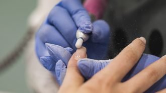 nail-stylist-decorating-customer-s-fingernails-2024-10-18-07-28-57-utc nail-stylist-decorating-customer-s-fingernails-2024-10-18-07-28-57-utc