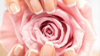 Woman gets manicure procedure in a spa salon. Beautiful female h Beautiful woman's nails with french manicure and rose. Beautiful female hands. Hand care. Woman cares for the nails on hands. Beauty treatment with skin of hand. Woman's hands close-up view.